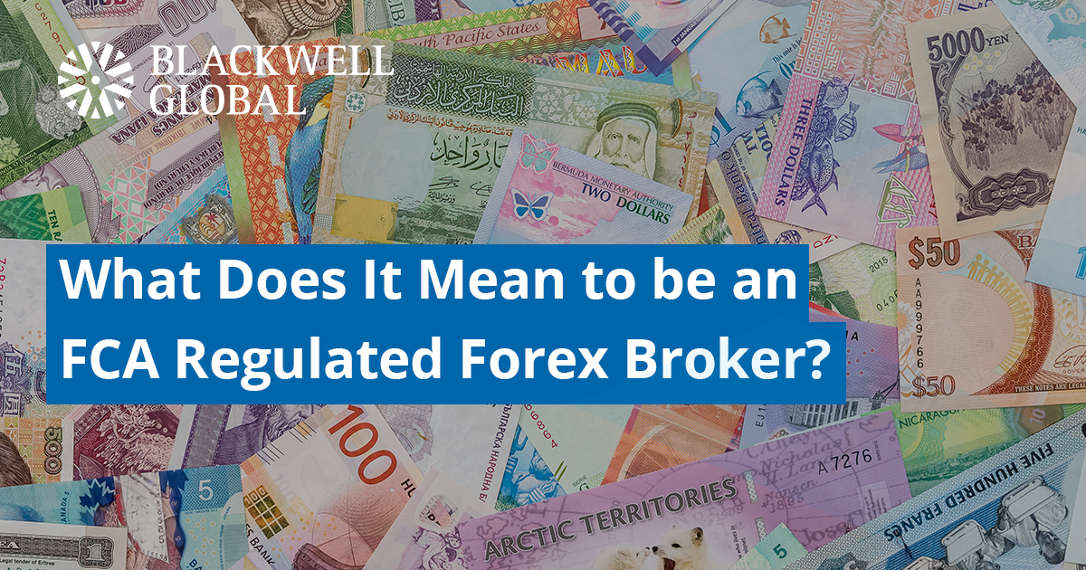 Exptoc pairs forex